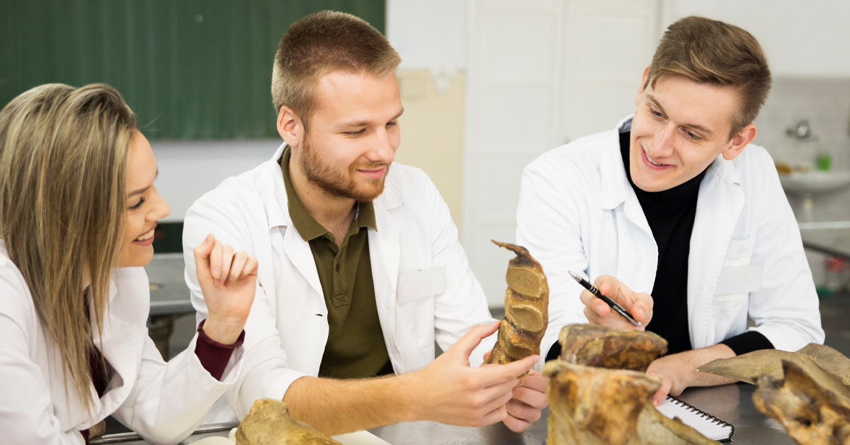 Southern New Hampshire University (SNHU) campus