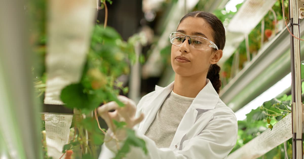 Lynn University campus