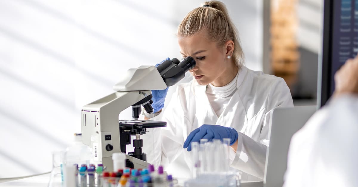 Lynn University campus